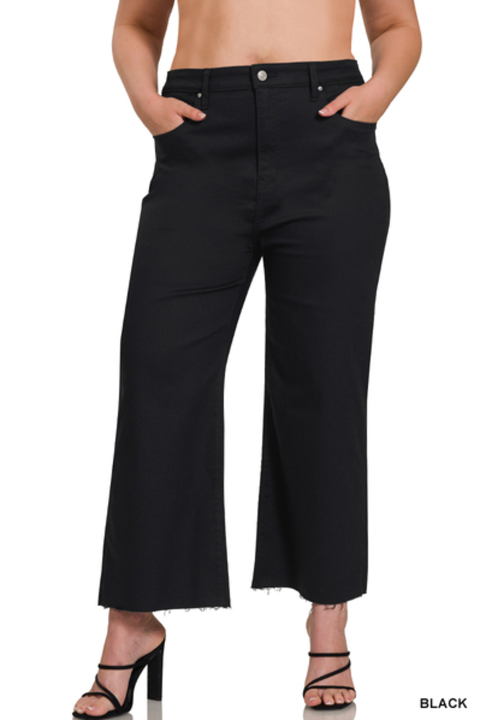 High Rise Croopped Denim Pants 3X