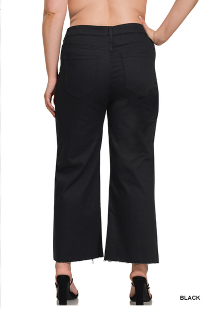 High Rise Croopped Denim Pants 3X