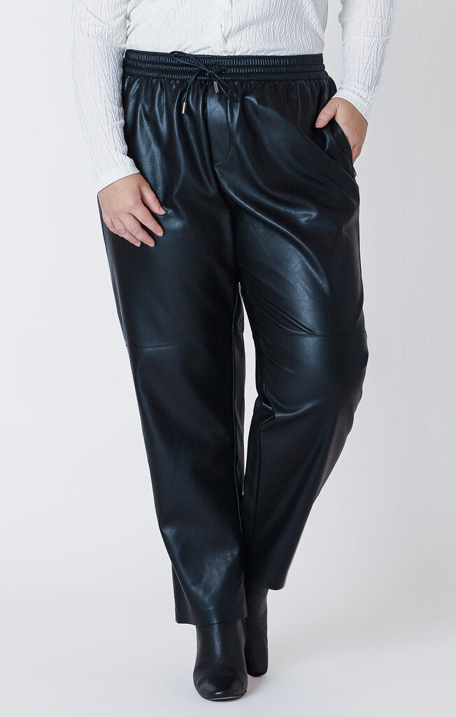 Pull on staight pant-Dex Plus Size 2X