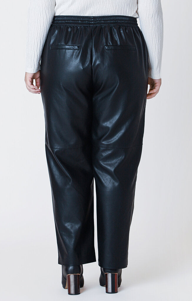 Pull on staight pant-Dex Plus Size 2X