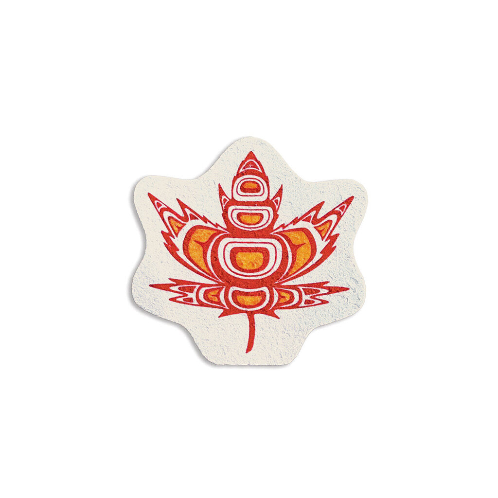 Eco Sponges - Indigenous Maple by Paul Windsor