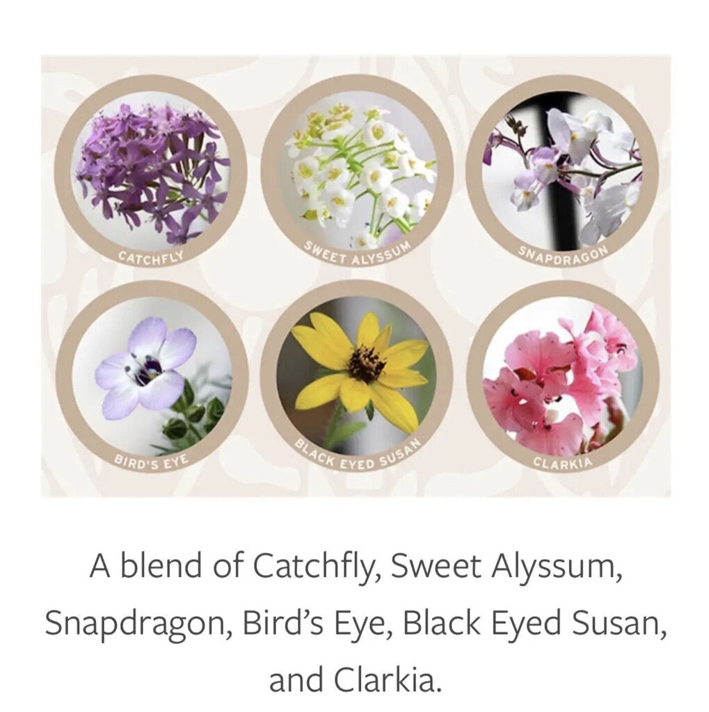 Buffalo Plantable Greeting Card