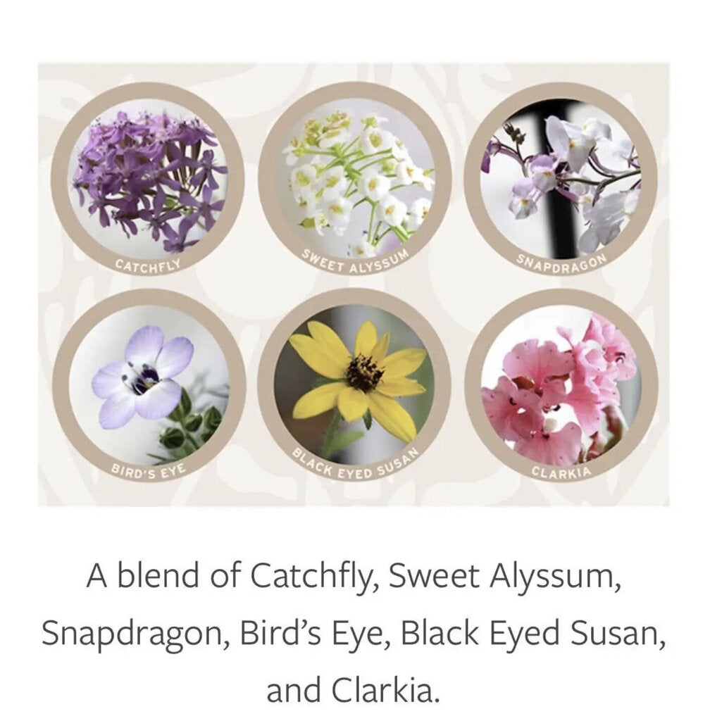 Baby Plantable Greeting Card
