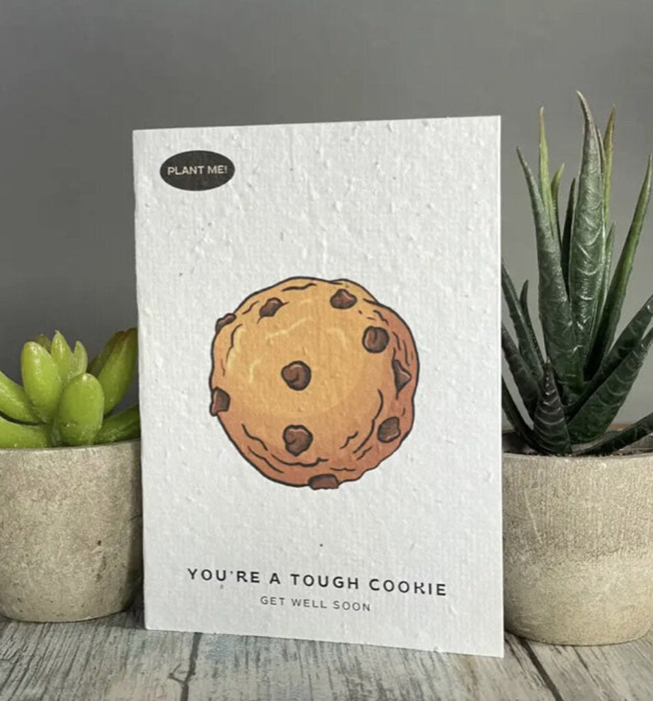 You're a Tough Cookie Plantable Greeting Card