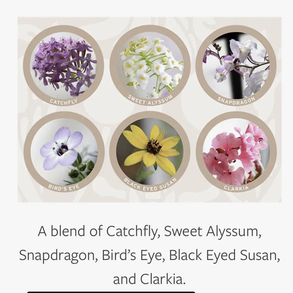You're such a catch plantable greeting card