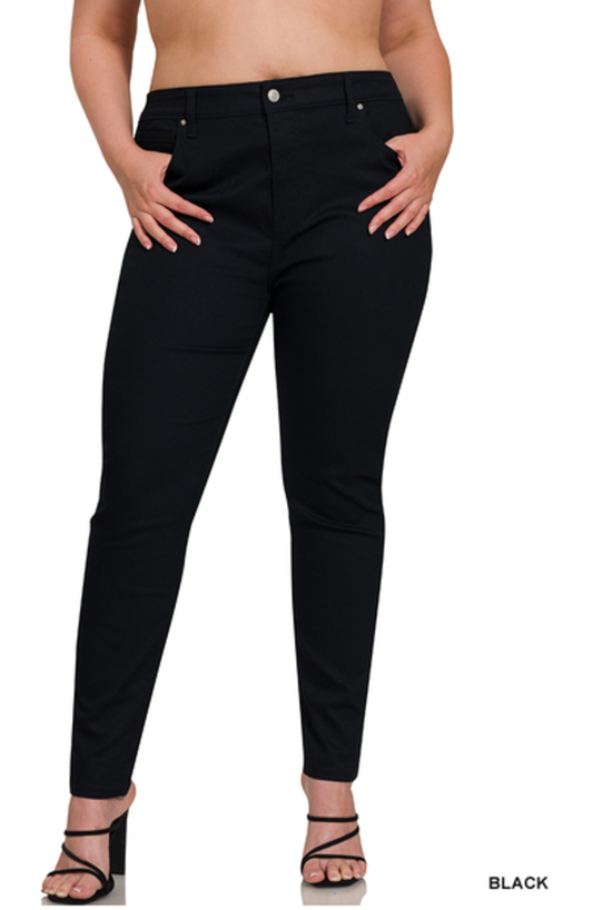 High Rise Skinny Pants 2X