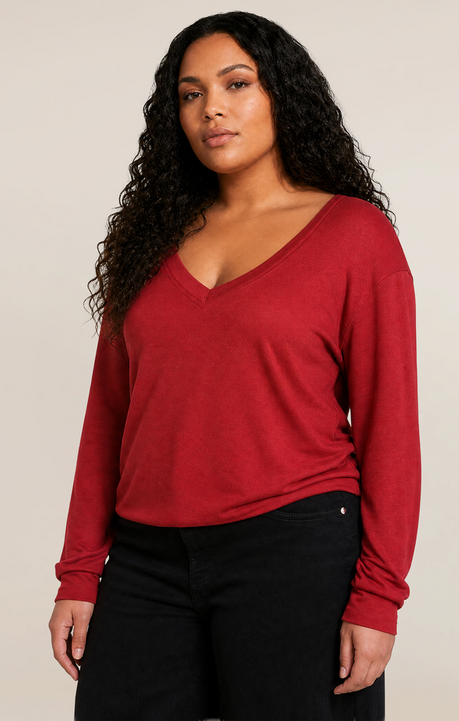 Dex V-Neck Long Sleeve Shirt 1X
