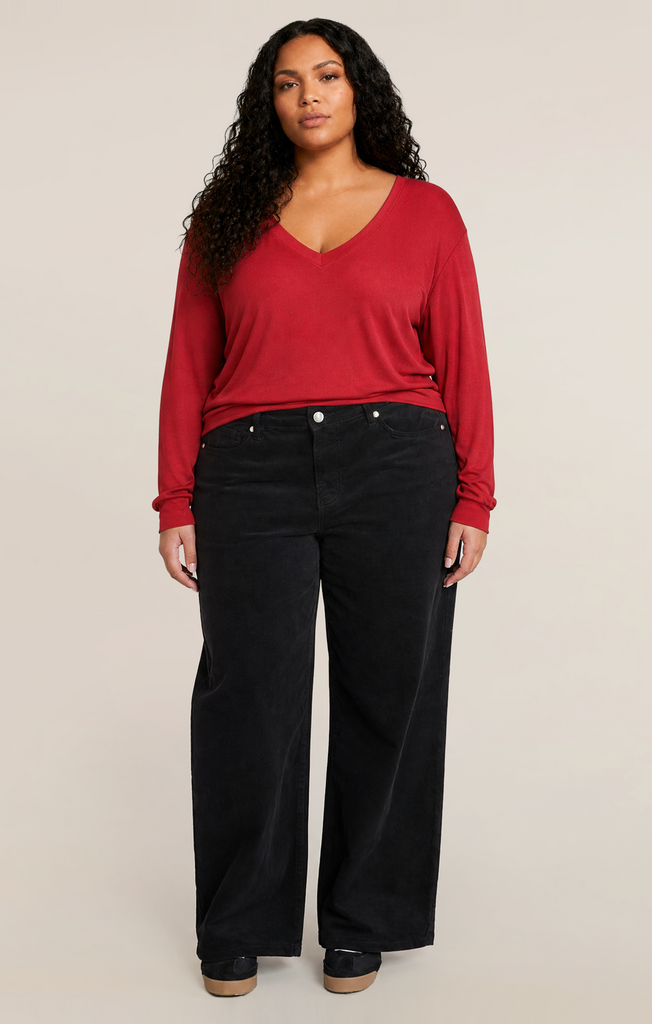 Dex V-Neck Long Sleeve Shirt 1X