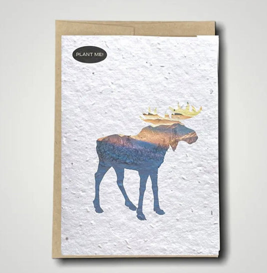 Moose Plantable Greeting Card