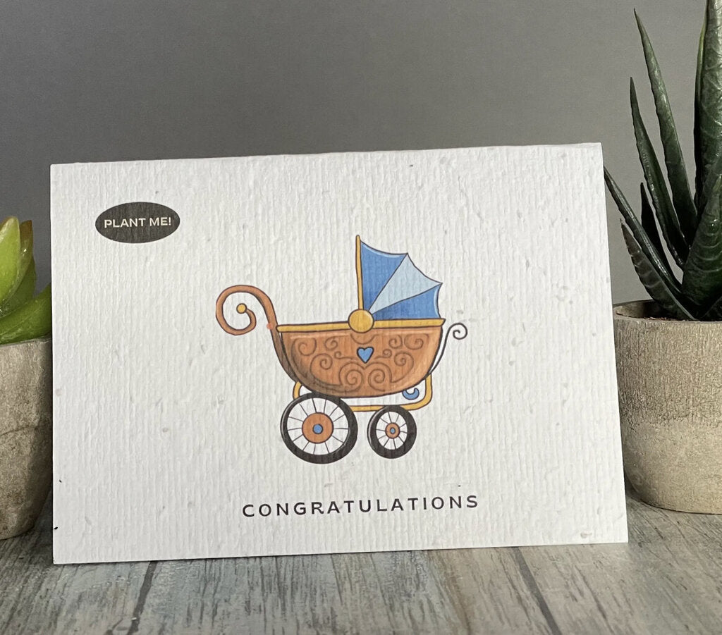 It's a Boy Plantable Greeting Card